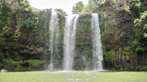 Cascading Whangarei Falls accessibly as a day trip from Auckland