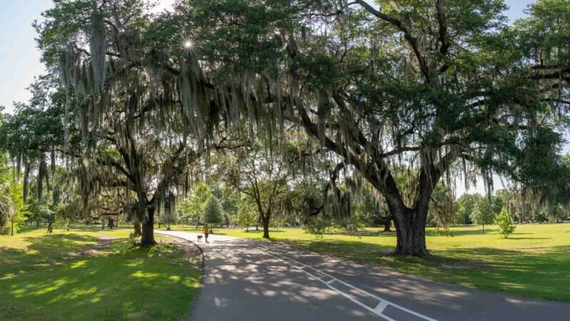 Audubon Park uptown Things to see in a New Orleans Weekend trip