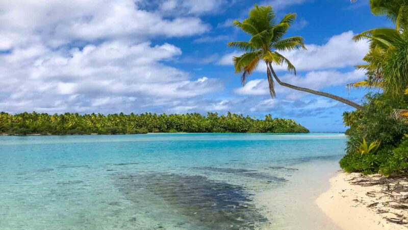 Palm and ocean at One Foot Island in Aitutaki Lagoon
