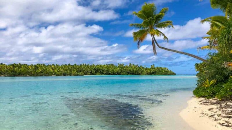 Palm and ocean at One Foot Island in Aitutaki Lagoon