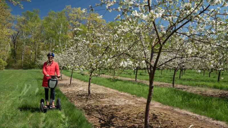 woman riding a segway in a cherry orchard in Door County - Best weekend itinerary