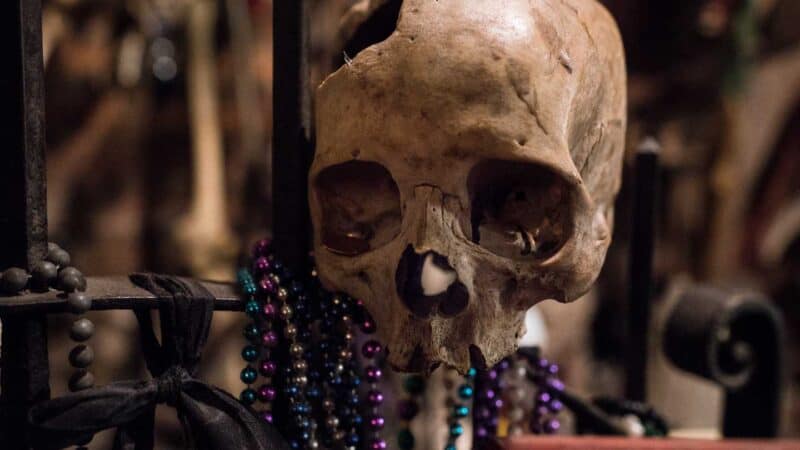 skull on a post inside the voodoo museum in New Orleans