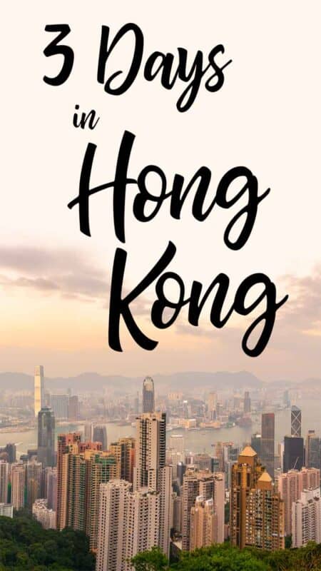 3 Days in Hong Kong Pin