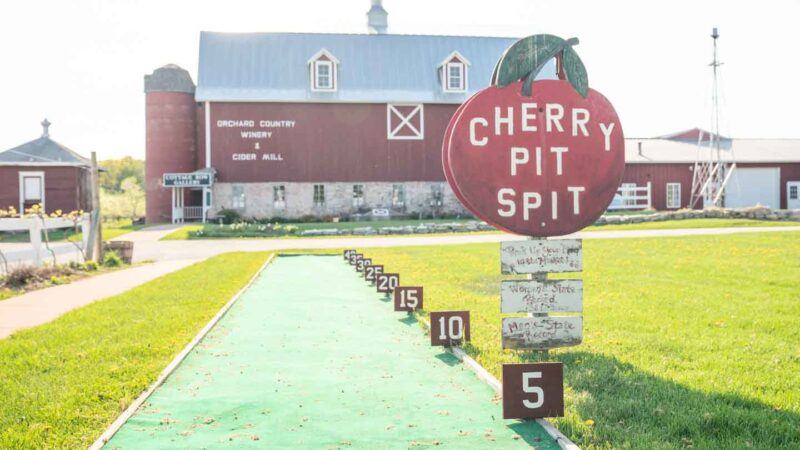 The cherry pit spit T lautenbach's orchard in Door County 
