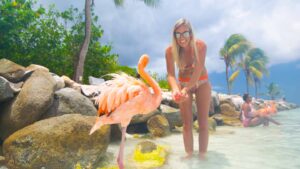 girl feeding a flamingo in Aruba