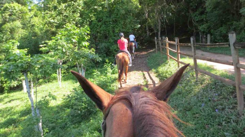 view from horseback while riding in costa Rica - Things to do in CR