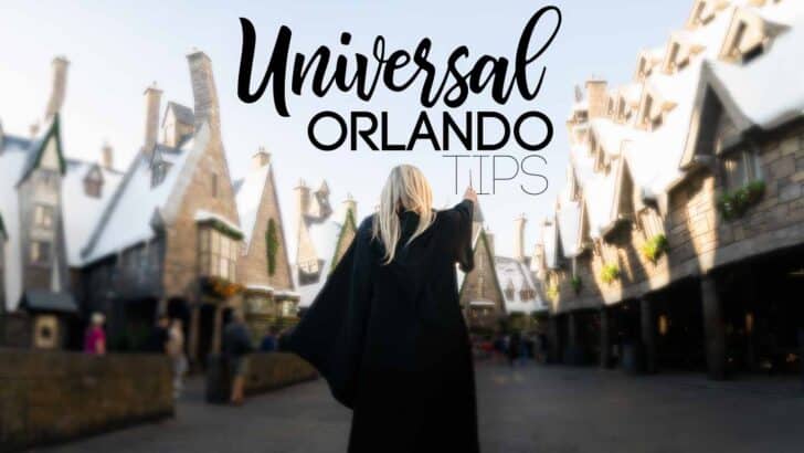 12 Tips for the Best Day at Universal Orlando Theme Parks