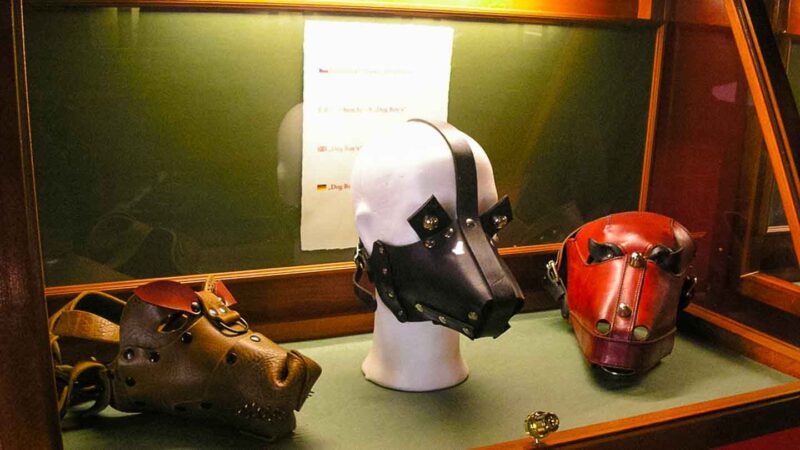 mask at the sex toys museum in Prague