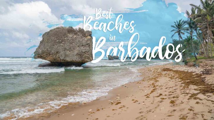 9 Picture Perfect Beaches in Barbados