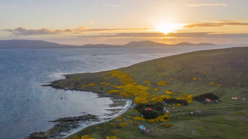 Carcass Island Settlement Sunset Falkland Islands Itinerary