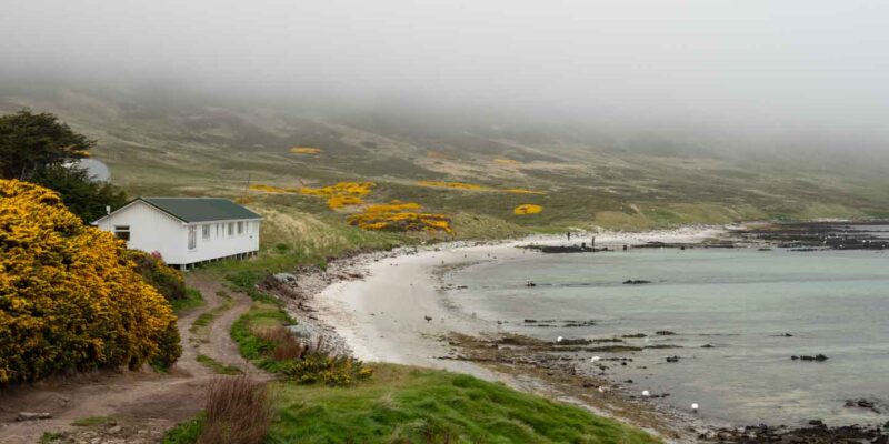 Carcass Island lodge Falkland Islands