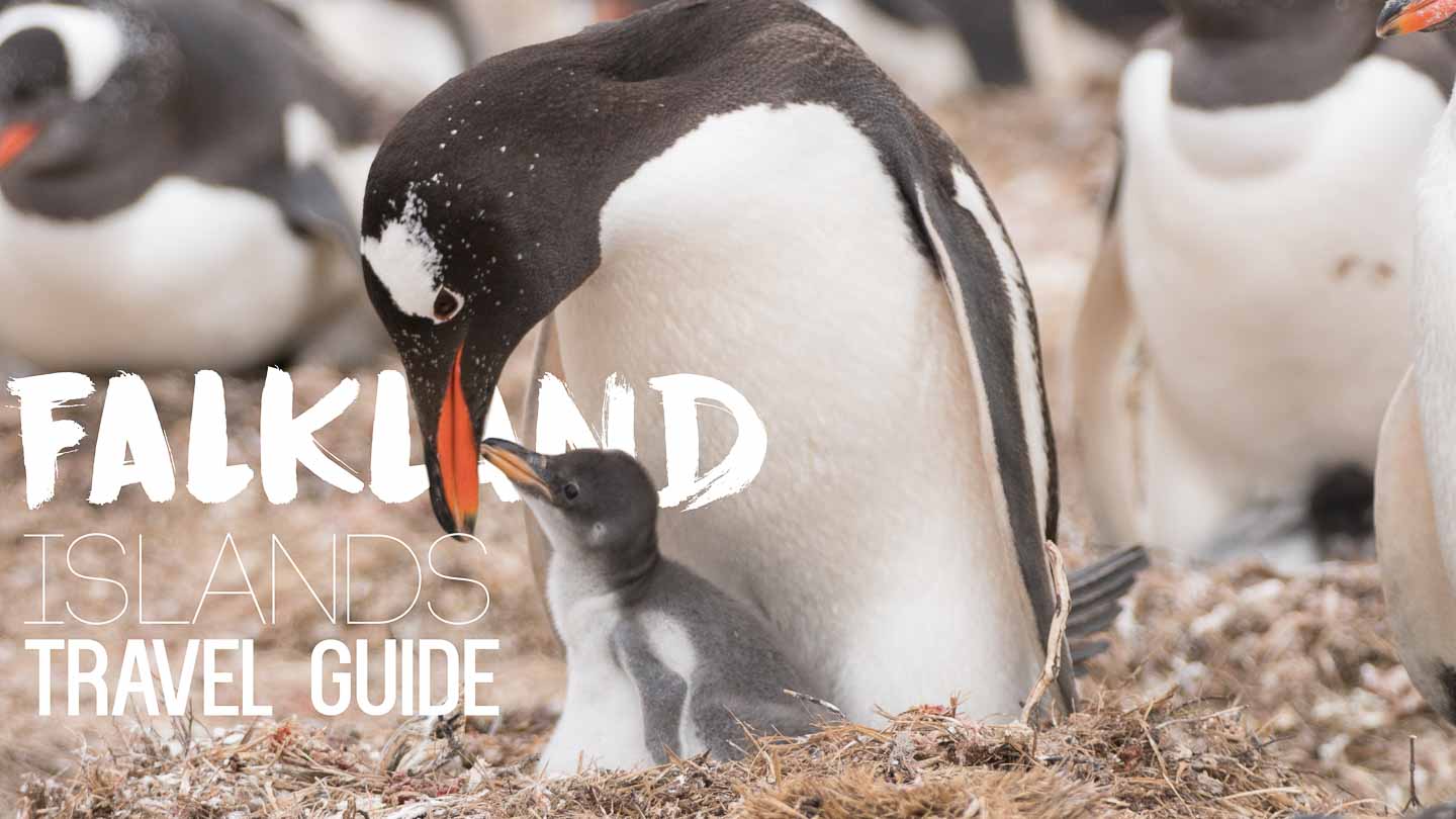 Two Weeks in the Falkland Islands Itinerary & Travel Guide