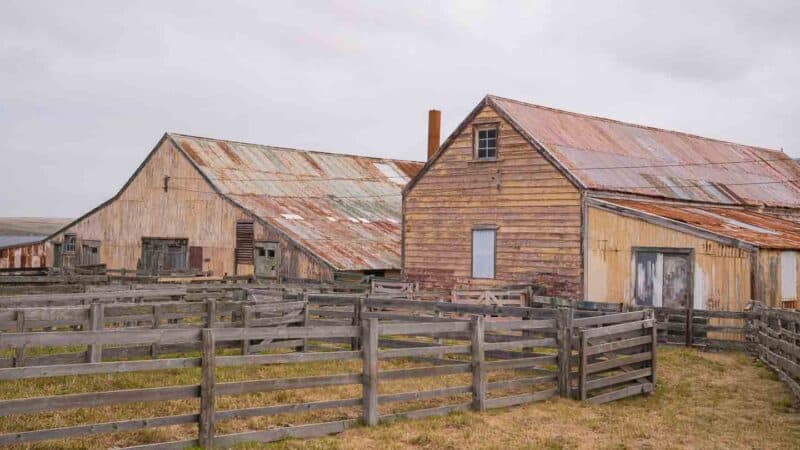 Weddell Island Farm Buildings Falkland Islands