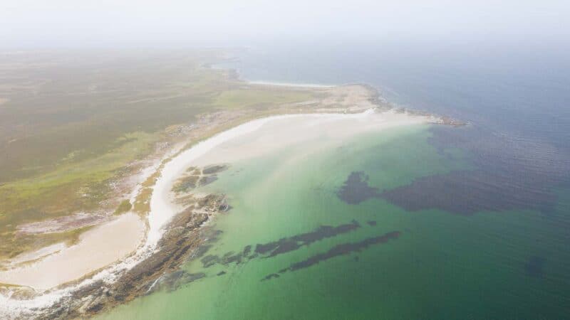 Weddell Island Loop Head Falkland Islands