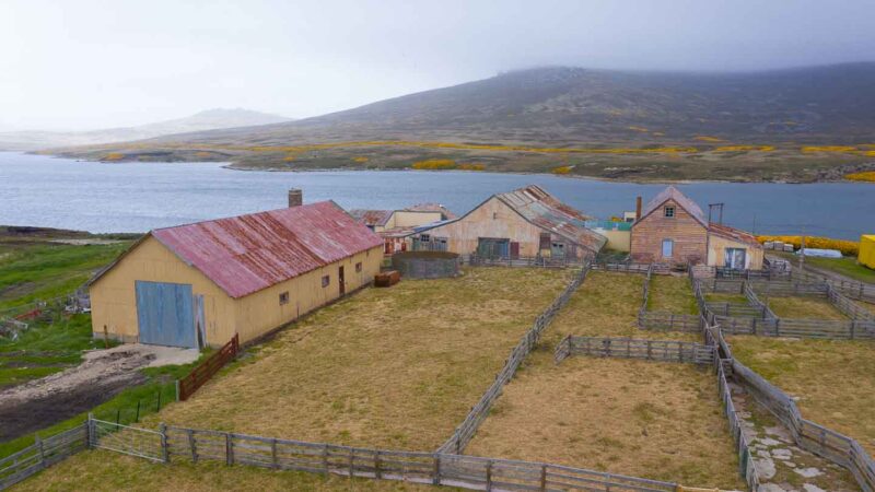 Weddell Island cover Falkland Islands