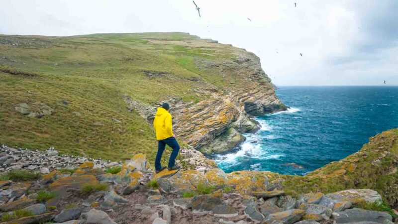Westpoint Island Cliffs Falkland Islands
