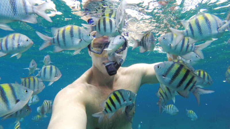 hombre haciendo snorkel con peces blancos y amarillos - DIY Snorkeling Tour mientras alquila un auto en Cozumel