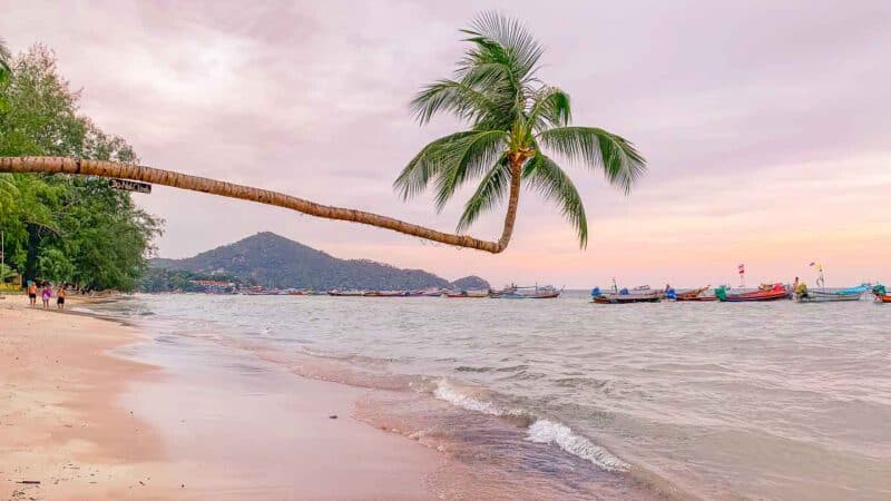 Koh Tao Island Guide Things to do Best beaches sairee beach