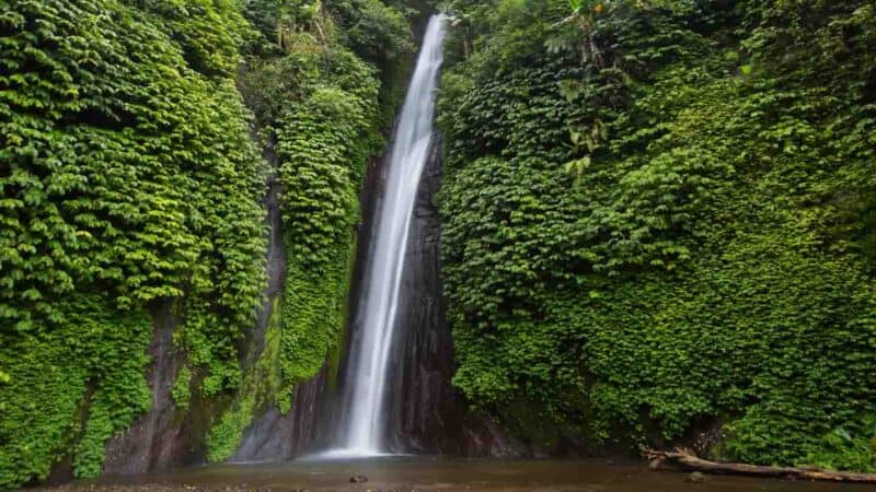 Niagara Mundik Waterfall in Bali from above. 