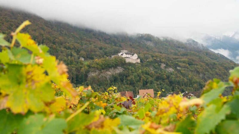viñas verdes y amarillas en primer plano con el castillo de Vaduz en el fondo en foco - Cosas que hacer en Liechtenstein