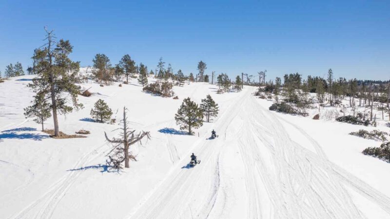 Two snowmobilers ride along a ridge covered in snow and pine trees in the Black Hills
