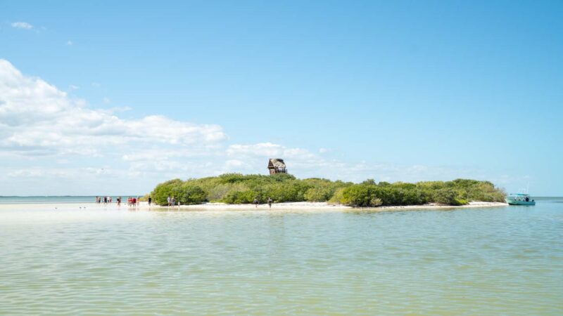 small remote island surrounded by clear water near Isla Holbox Mexico - things to do in Holbox