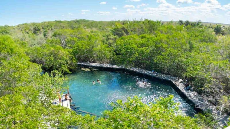 Large open sinkhole - Cenote Yalahau Hoyo Negro - Top things to do in Holbox