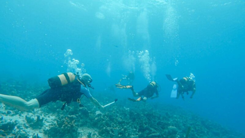 Three divers swimming at a dive site in cozumel Mexico - Top tourist attractions in Cozumel Mexico