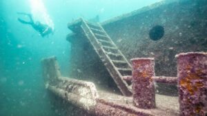 diver swimming near the Black Bart Shipwreck - Wreck diving in Panama City Beach - Top things to do in PCB