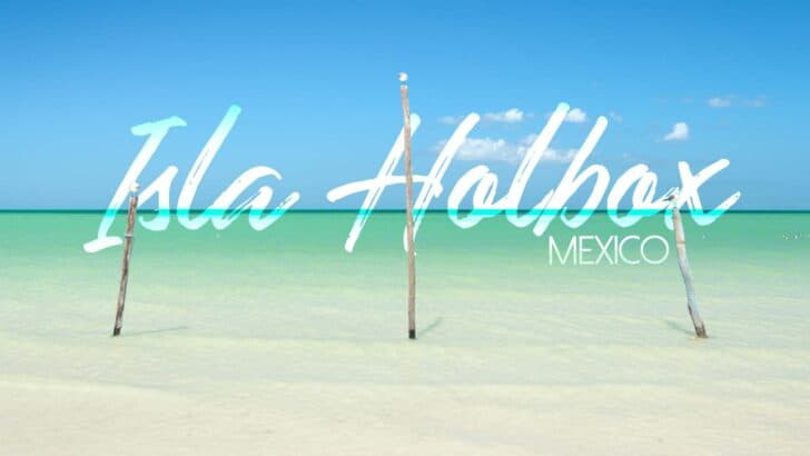 2024 Isla Holbox Ultimate Guide – Must KNOW Travel Tips