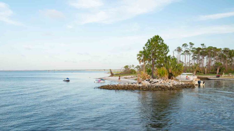 boat docks and palm trees in St. Andrews State Park - Things to do in Panama City Beach FL