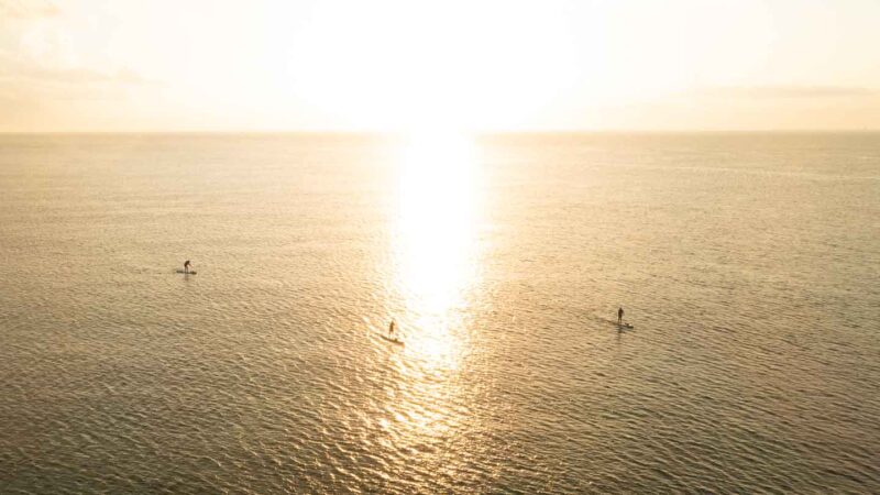 3 people paddling on a sunrise SUP tour in Mexico