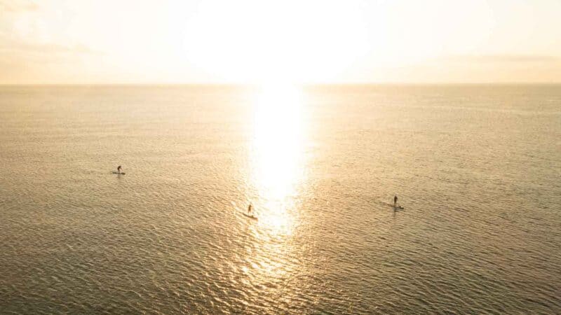 3 people paddling on a sunrise SUP tour in Mexico