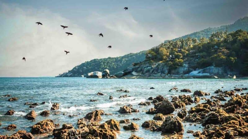 Rocky beach Haad Yuan in Ko Phangan 