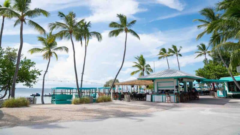 Marker 88 tiki bar palm trees and ocea, one of the best Florida Keys bars