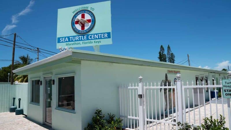 Teal colored exterior of the turtle hospital in the Florida Key - Things to do on a Miami to Key West Road trip