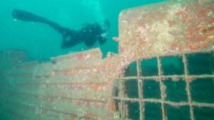 diver swimming near the Spiegel Grove Ship wreck in the florida keys - Top activities for road trippers