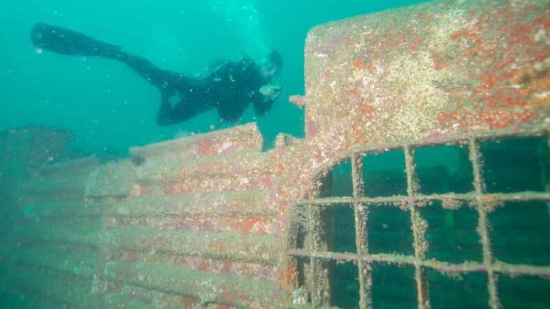 diver swimming near the Spiegel Grove Ship wreck in the florida keys - Top activities for road trippers