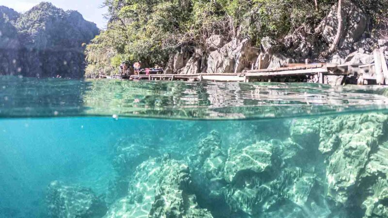 over under photo of Kayangan Lake with clear waters and underwater rock formations in Coron - Top sights and destinations in the Philippines