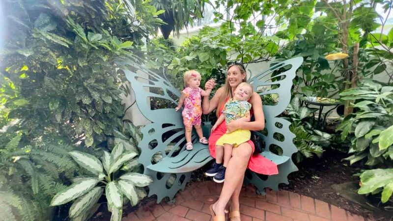 Key West Butterfly & Nature Conservatory kids & family