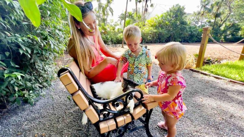 Hemingway Home kids petting cats 