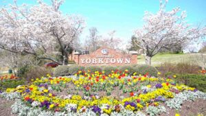 Historic Yorktown sign surrounded by blooming flowers