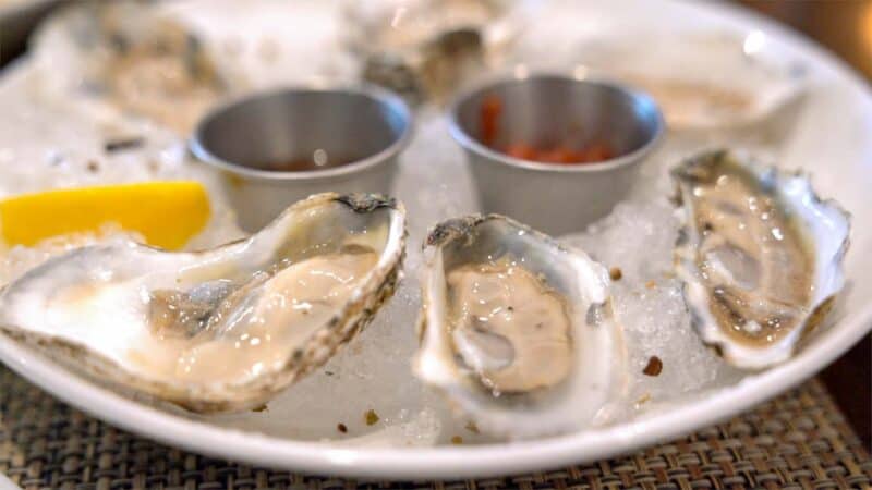 Plate of Oysters in Williamsburg VA - Top Oyster spots