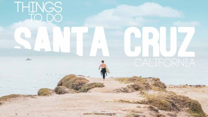 Things to do in Santa Cruz, California