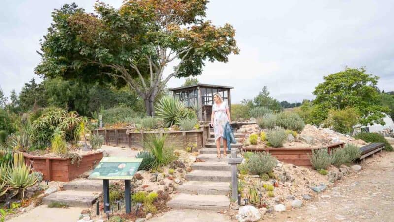 Woman walking through the UCSC Arboretum Santa Cruz California - Things to do