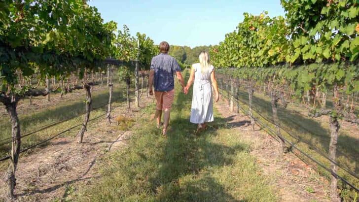 Top 7 Best Wineries in Wisconsin