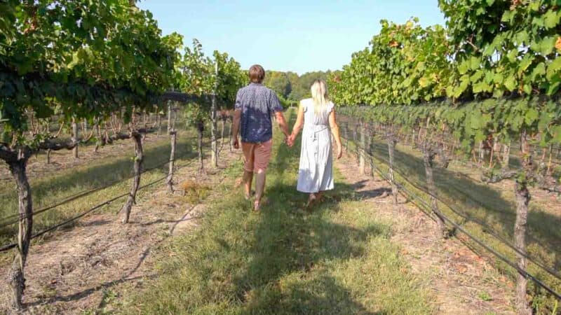 Williamsburg Winery Must do things in Williamsburg Virginia 2