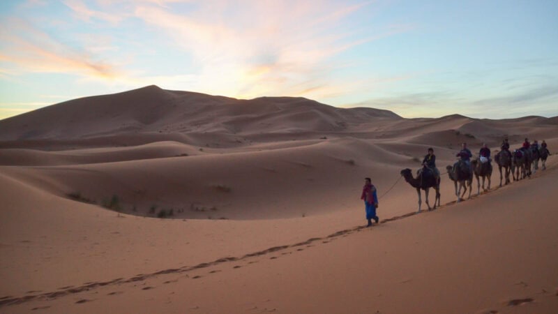 man leading a group of camels in the Sahara Desert at sunset