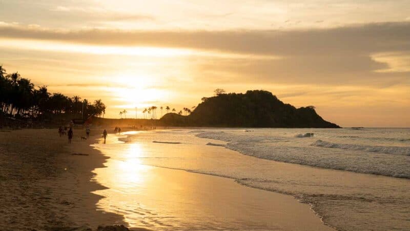 Sunset Nacpan Beache Palm Trees