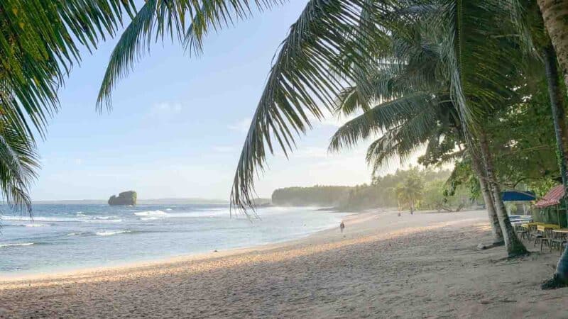 panoramic view of the beach and palm trees of Magpupungko